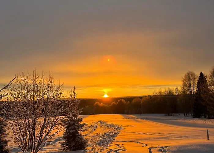 Tennihovi Hosted By Hygge Host 木屋 *